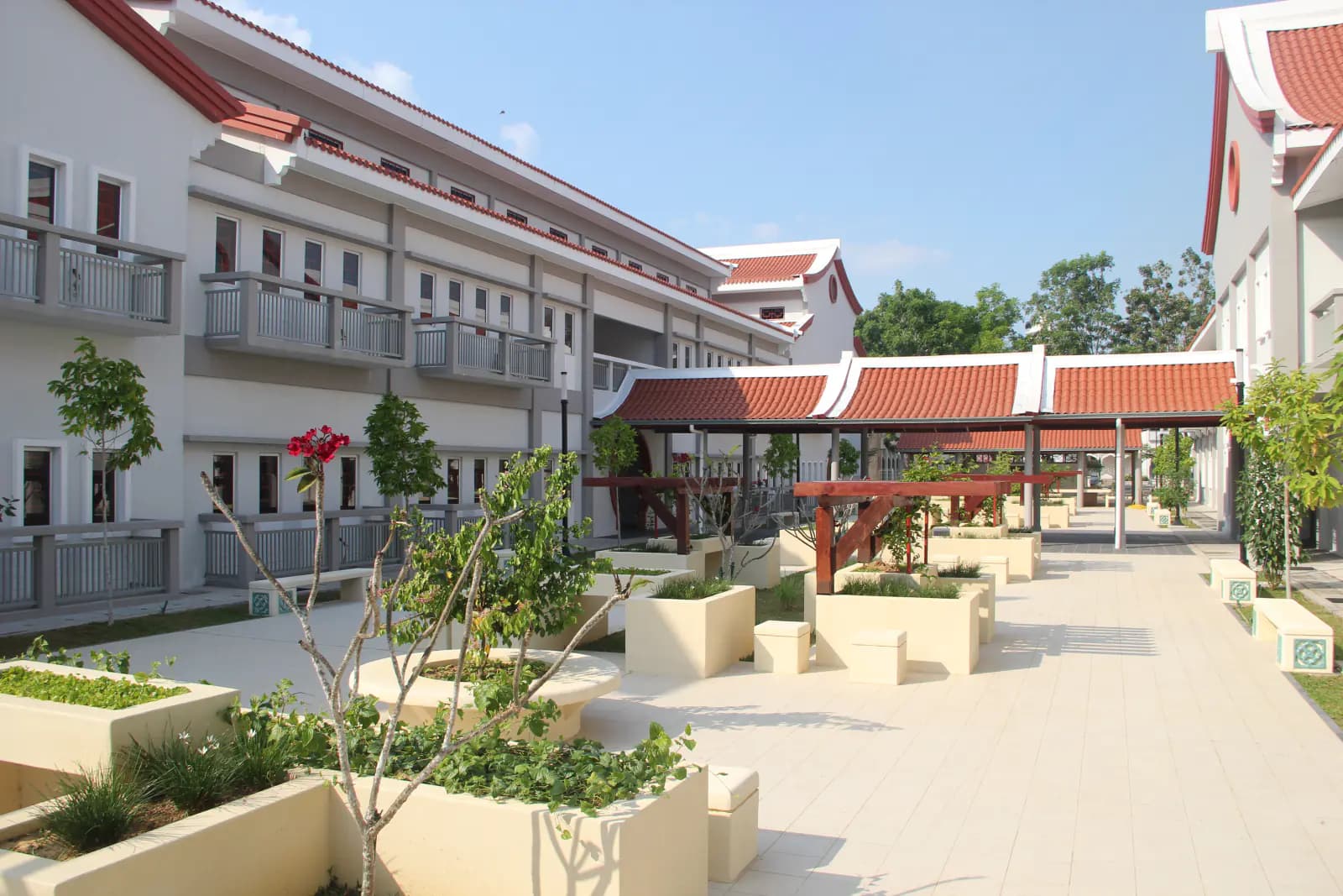 Advanced Pedagogies